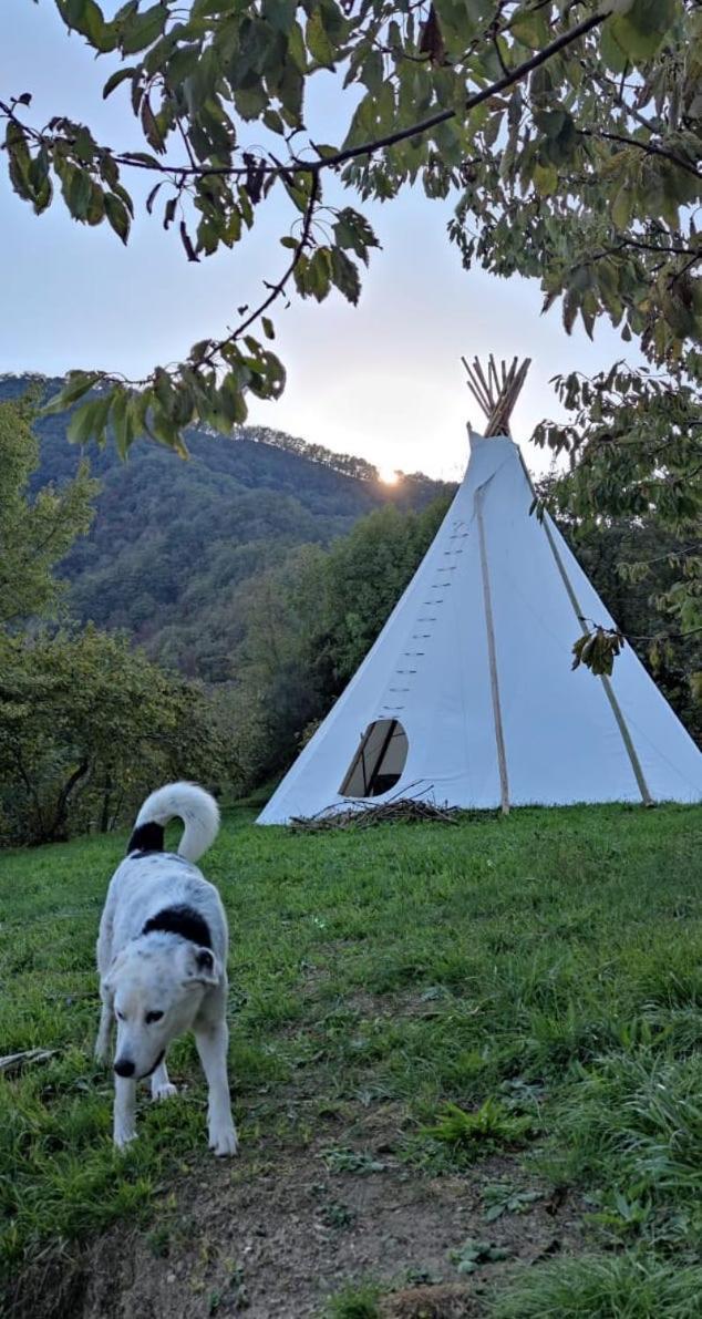 Coreglia Ligure@Gatetothewild住宿加早餐旅馆 外观 照片